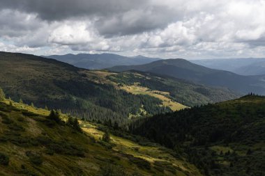 Karpatya dağları, yaz, ormandaki bulutlu gökyüzü, doğa manzarası, güzel manzara