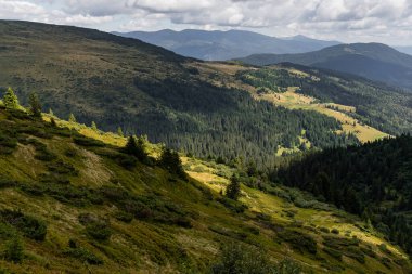 Karpat Dağları, yaz, dağ ve orman
