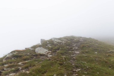Güzel dağ manzarası. Doğa, seyahat