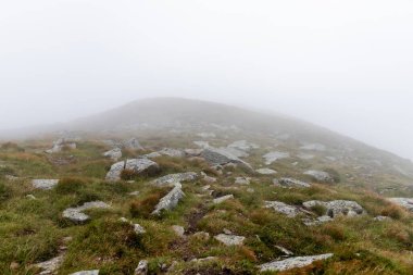 Karpat Dağlarının güzel manzarası