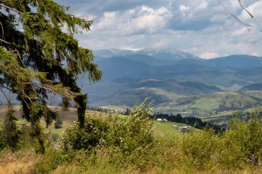 Yaz mevsiminde Karpat Dağları manzarası