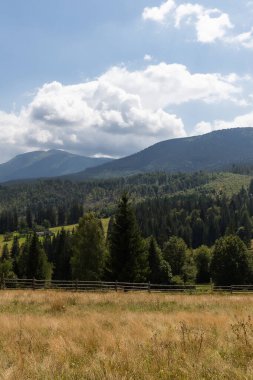 Bulutlu bir günde ağaçlı ve tepeli yeşil bir arazinin dikey görüntüsü.