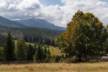 Karpat Dağları güzel sonbahar manzarası