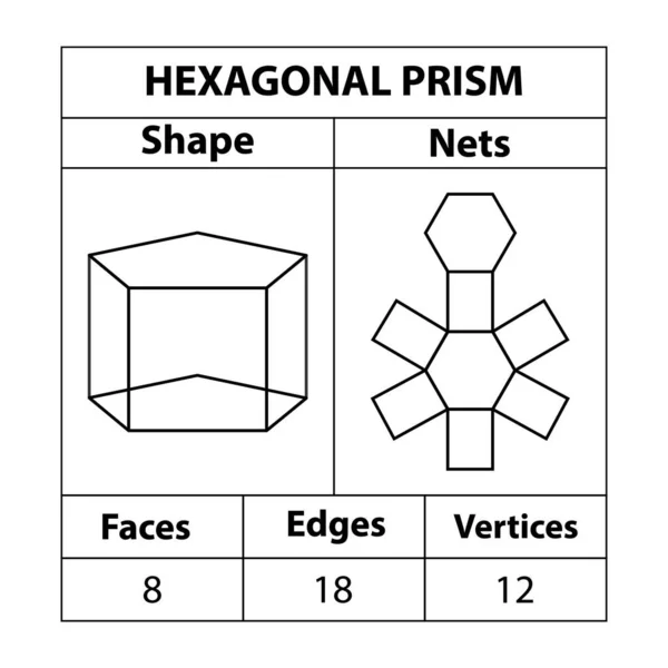 Redes Prisma Hexagonales Caras Bordes Vértices Las Figuras Geométricas Establecen — Vector de stock