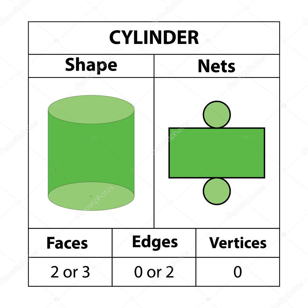 Cylinder nets, faces, edges, vertices. Geometric figures are set isolated on a white backdrop. Geometric 3d shapes nets. in mathematics. vector illustration,
