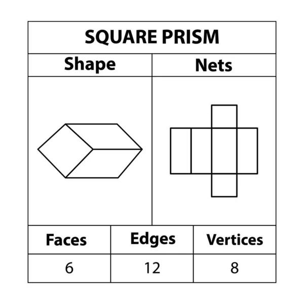 Prisma Cuadrado Redes Caras Bordes Vértices Las Figuras Geométricas Establecen — Vector de stock