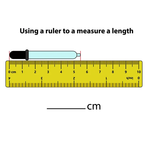 定規でセンチメートルインク柱の長さを測定します 教育開発ワークシート 子供のためのゲーム 子供のためのパズル ベクトルイラスト 漫画風 — ストックベクタ