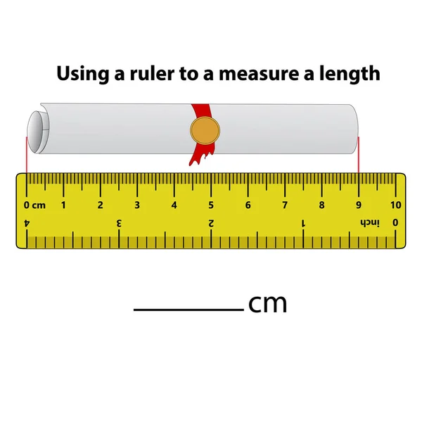 Измерение Длины Сантиметрах Линейкой Образование Разрабатывает Рабочие Листы Игра Детей — стоковый вектор