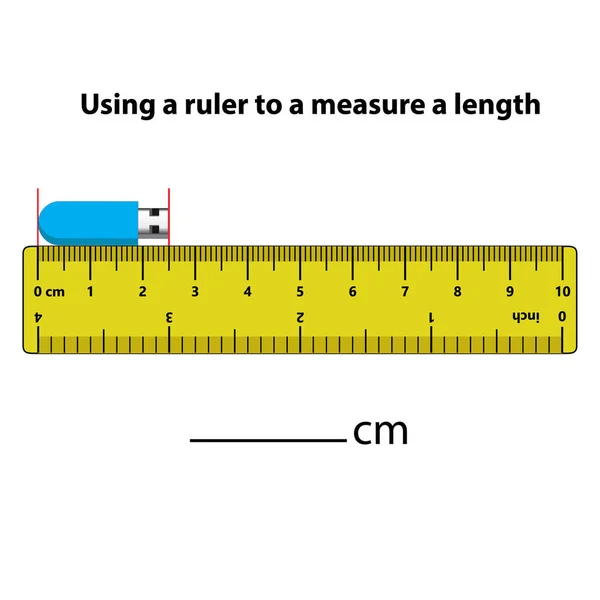 定規でセンチメートルの長さを測定します 教育開発ワークシート 子供のためのゲーム 子供のためのパズル ベクトルイラスト 漫画風 — ストックベクタ