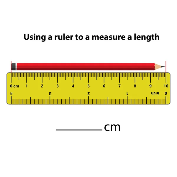 Mesurer Longueur Centimètres Avec Règle Éducation Élaboration Une Feuille Travail — Image vectorielle
