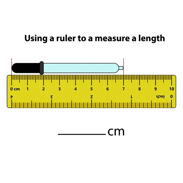 定規でセンチメートルアイドロッパーと計算機で長さを測定します 教育開発ワークシート 子供のためのゲーム 子供のためのパズル ベクトルイラスト 漫画風 — ストックベクタ