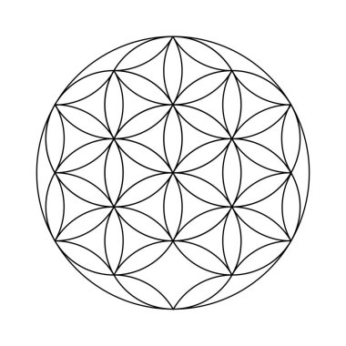 Yaşamın çiçeği. Korkak Geometri Vektör Tasarım Elementleri. Karmaşık çizimlerimizle geometri dünyası.