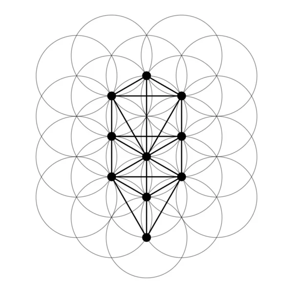 命の木だ 怖い幾何学ベクトル設計要素 これは宗教 霊性の象徴です 複雑なイラストで幾何学の世界を — ストックベクタ