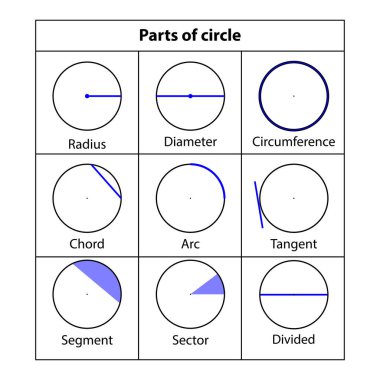 Çemberin bir parçası. Yarıçap, çap, kordon, akor, yay, tanjant, bölüm, sektör, bölünmüş matematik öğretim resimleri. Geometrik şekiller. Vektör illüstrasyonu.