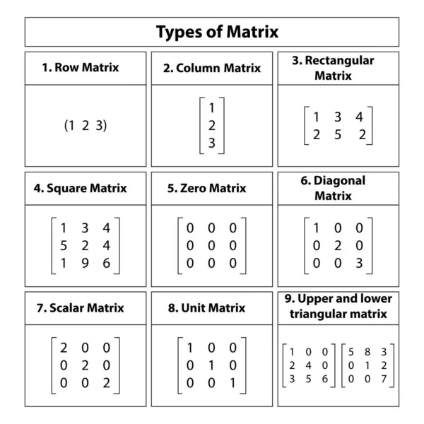 Soorten Matrix Vectorillustratie Witte Achtergrond — Stockvector
