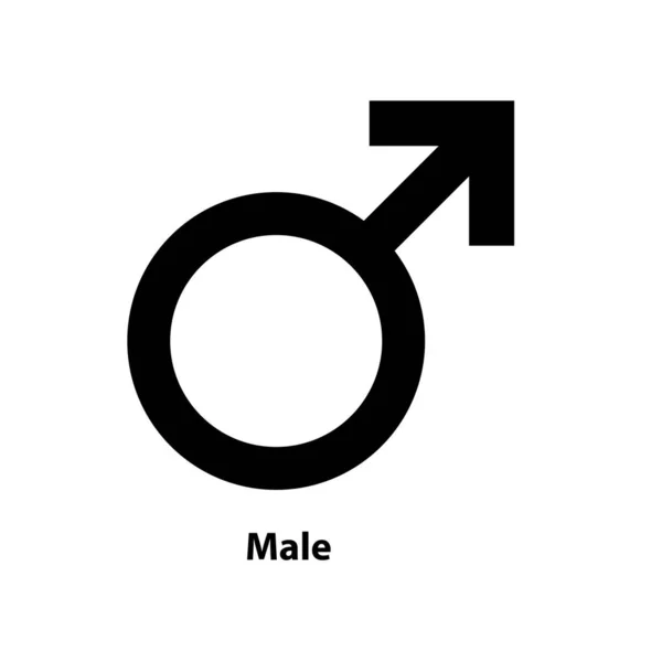 Male Symbol Icon Gender Icon Vector Sign Isolated White Background — Stock Vector