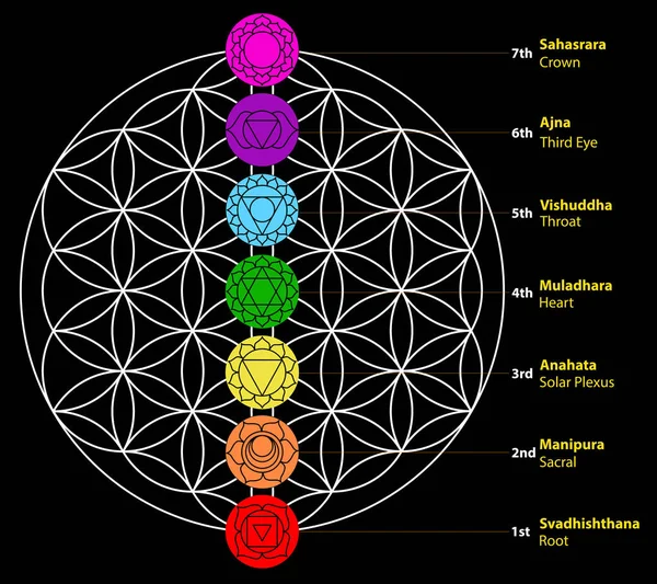 Zeven Chakra Set Van Zeven Chakra Symbolen Met Namen Dit Vectorbeelden