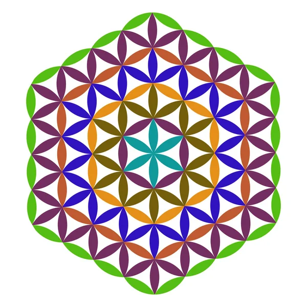 Τρομαγμένα Γεωμετρικά Στοιχεία Σχεδιασμού Διανυσματικών Αυτά Είναι Σύμβολα Θρησκείας Φιλοσοφίας — Διανυσματικό Αρχείο
