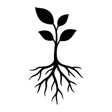 Büyüme ve doğa kavramları için kök vektör illüstrasyonuna sahip siyah ve beyaz bitki tasarım elementi