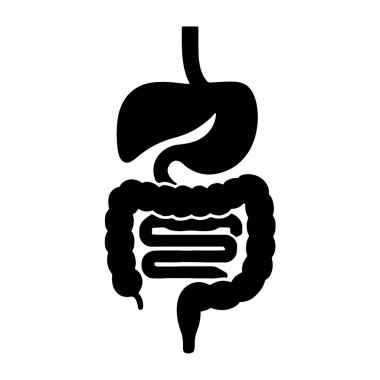 Tıp eğitimi için insan sindirim sistemi anatomisi ve sağlık hizmeti farkındalığı tasarım vektörü