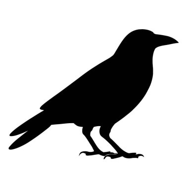 Crow Silueti Gizemli Zeka ve Sembolizmi Temsil Ediyor
