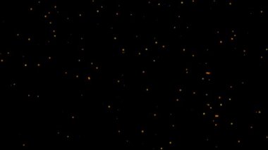 Düşen yapraklar birleştirme ve hareket grafikleri için siyah arkaplan ile animasyon, sonbahar temaları için mükemmel