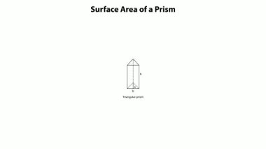 diagram illustrating rectangular triangular pentagonal and hexagonal prisms with height and base labels