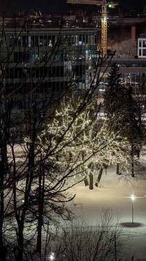 Şehrin güzel kış manzarası