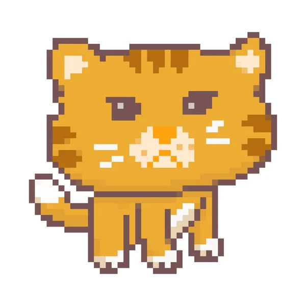 怒っている猫ピクセルアート かわいい怒っている猫 大きなヘッドピクセルアートスタイル — ストックベクタ