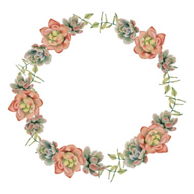 watercolor succulent pland and flower bouquet wreath frame isolated on white background