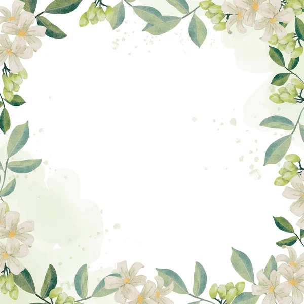 水彩斑斓的白色茉莉花花冠框正方形横幅背景 — 图库矢量图片