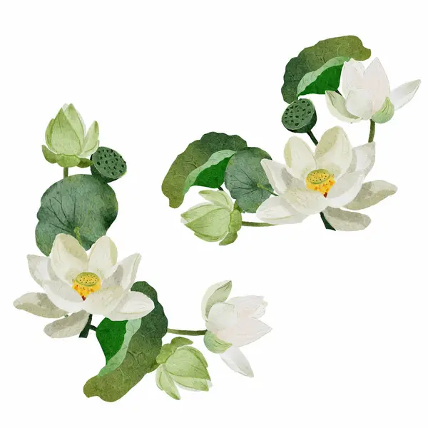 Watercolor White Lotus Flower Bouquet Frame Elements White Background Isolated — Stock Vector