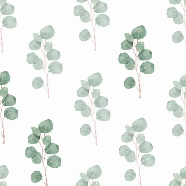 Watercolor Green Silver Eucalyptus Foliage Seamless Pattern — Stock Vector