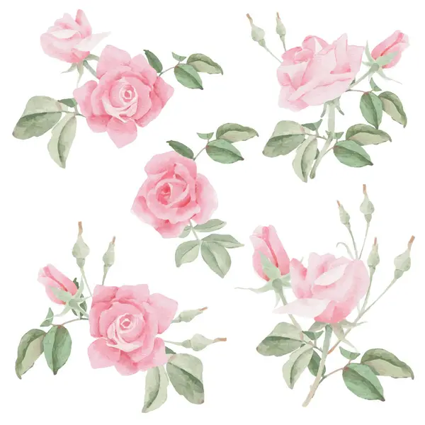 Acquerello Rosa Rosa Fiore Bouquet Corona Cornice Collezione Illustrazioni Stock Royalty Free