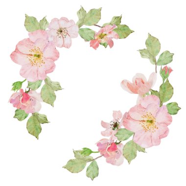 Suluboya pembe eski gül Claire Martin İngiliz gül buket çelengi çerçevesi