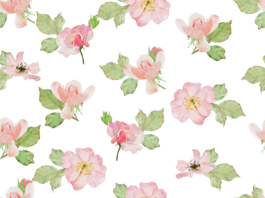 Suluboya çiçeği pembe eski pembe gül Claire Martin İngiliz gülü çiçek buketi yatay ve pürüzsüz desen