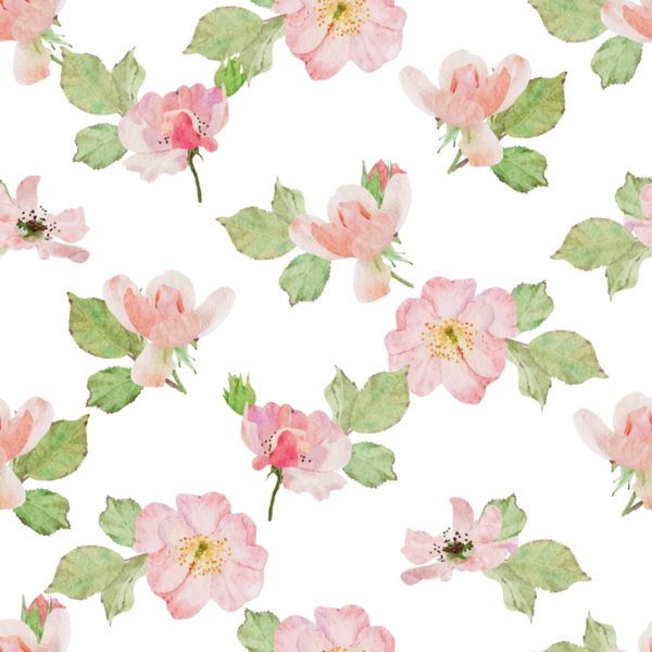 suluboya çiçek pembe eski gül Claire Martin İngiliz gül buketi dikişsiz desen