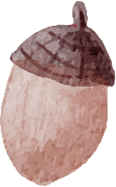 suluboya sonbahar yaprakları