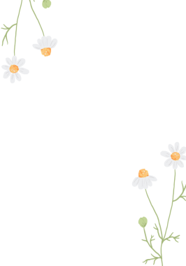 beyaz papatya çiçeği düğün davetiyesi çerçevesi