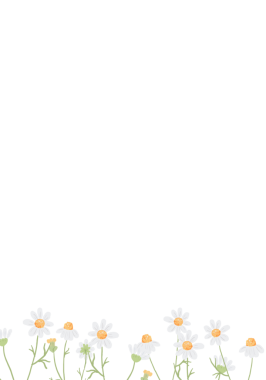 beyaz papatya çiçeği düğün davetiyesi çerçevesi