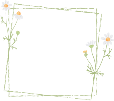 Minimum beyaz papatya çiçeği kare çerçevesi