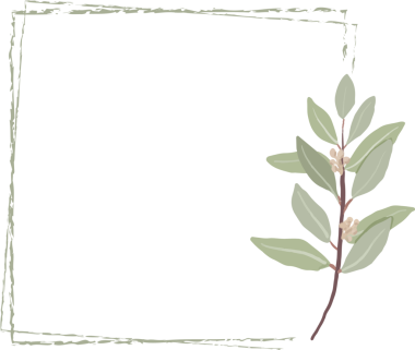 Düğün davetiyesi veya logo için asgari el çizimi okaliptüs çelengi çerçevesi