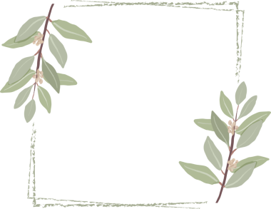 Düğün davetiyesi veya logo için asgari el çizimi okaliptüs çelengi çerçevesi