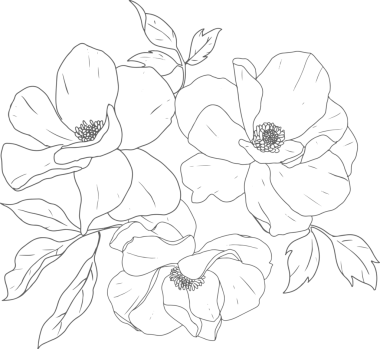 Karalama çizgisi sanatsal şakayık çiçek buketi elementleri