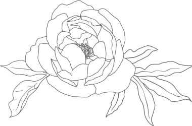 Karalama çizgisi sanatsal şakayık çiçek buketi elementleri