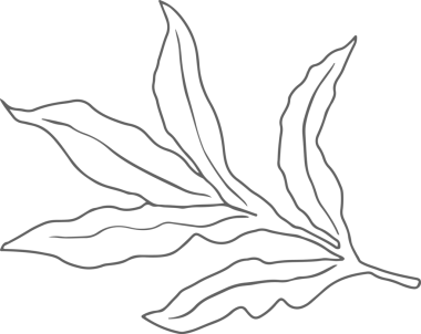 Karalama çizgisi sanatsal şakayık çiçek buketi elementleri