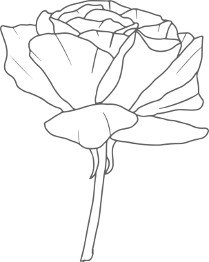 Karalama çizgisi. Gül çiçeği buketi elementleri.