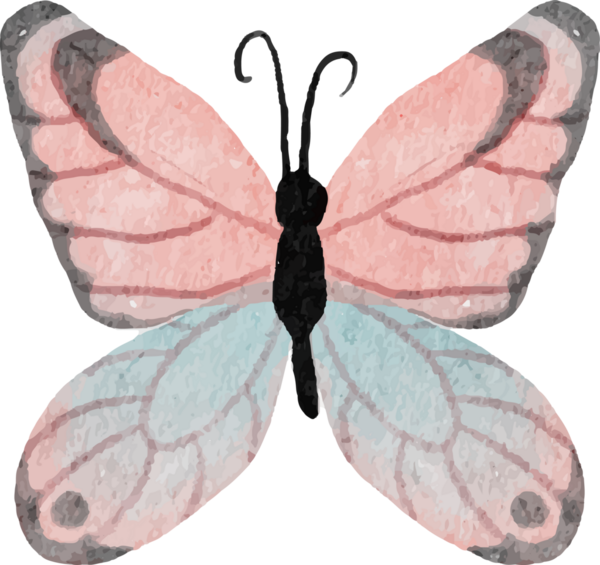 suluboya el renkli kelebek çizimi