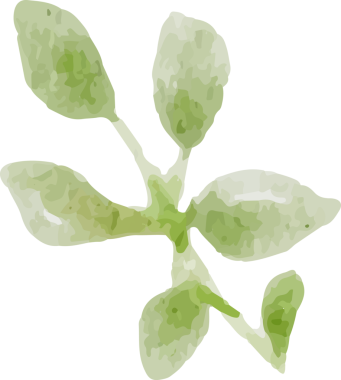 bol suluboya renkli güller ve çiçek buketi elementleri