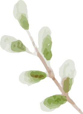 bol suluboya renkli güller ve çiçek buketi elementleri